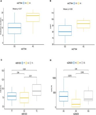 Associations of genetic variants contributing to gut microbiota composition in diabetic nephropathy